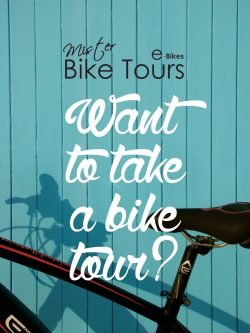 FLYER MISTER BIKE SIN MARCO